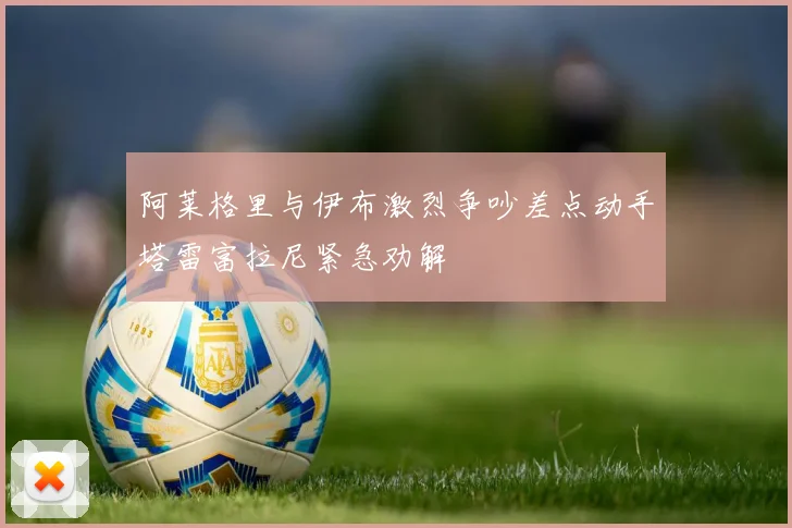 阿莱格里与伊布激烈争吵差点动手塔雷富拉尼紧急劝解
